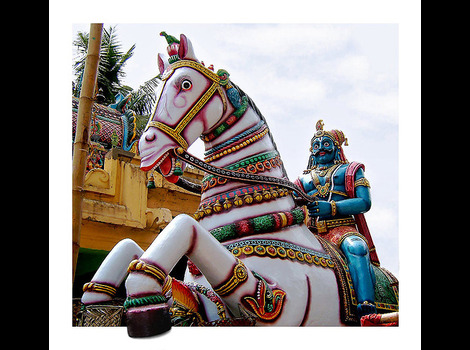 Donation Image